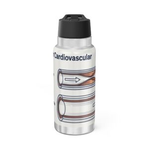 Stainless 32oz Tumbler with Cardiovascular Artery Diagram — Medical Anatomy Travel Bottle